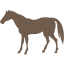 icon-passeio-cavalo